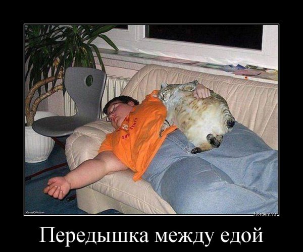 Объелся прикол