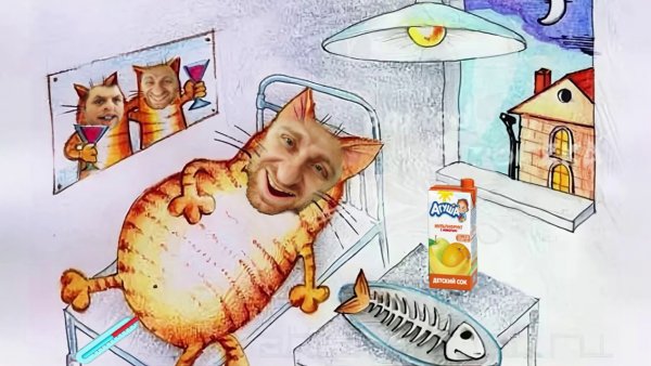 Кот объелся