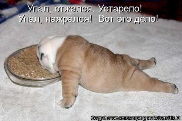 Обожрался конфет