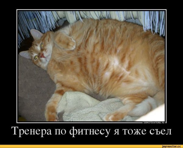 Объелся юмор