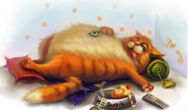 Обожравшийся кот
