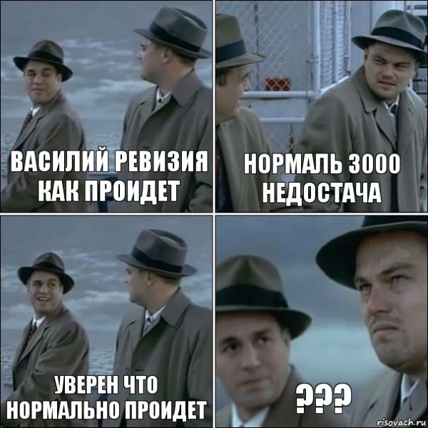 От ревизии нас может спасти только кража