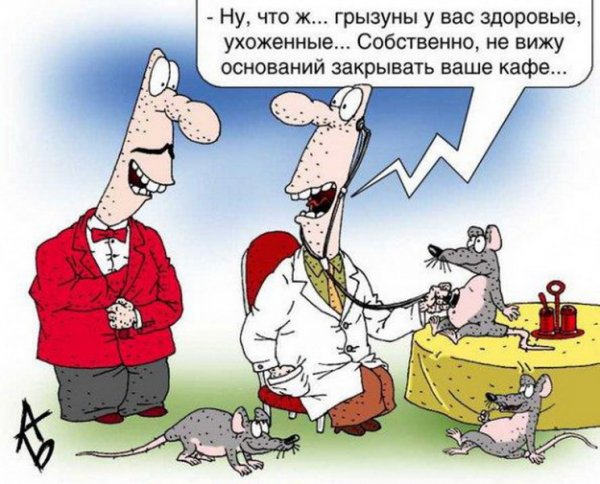 Фразы про бухгалтера