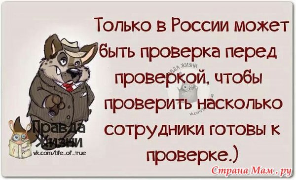 Аудитор карикатура