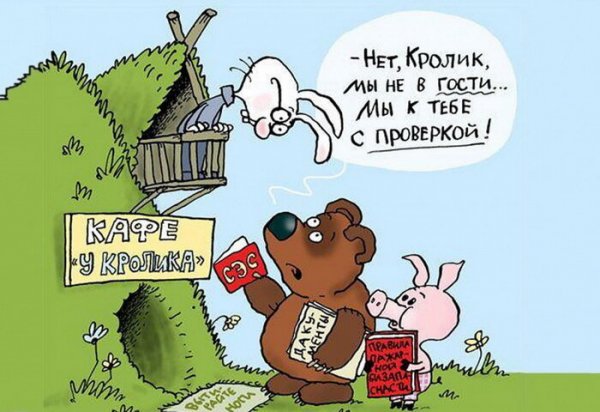Приколы про ревизию в магазине
