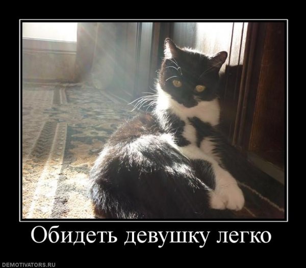Демотиватор про обиженных