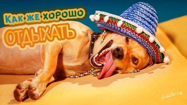 Пора отдохнуть картинки