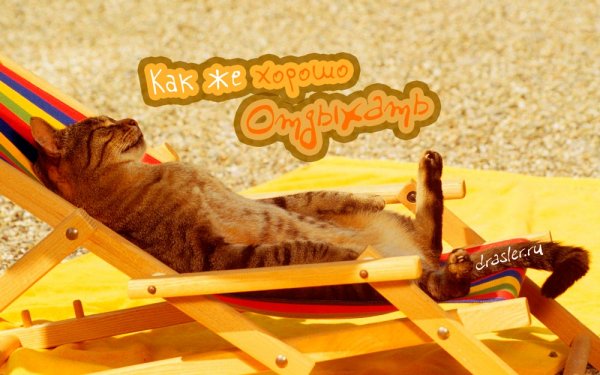 Отдыхать прикольные
