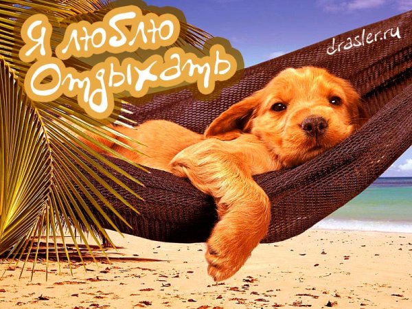 Пожелания хорошего отпуска