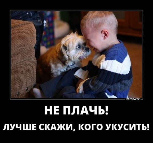 Демотиваторы поддержка