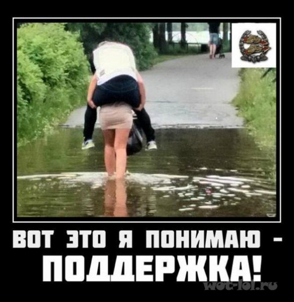 Поддержка прикол
