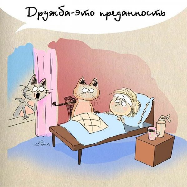 Цитаты про дружбу прикольные