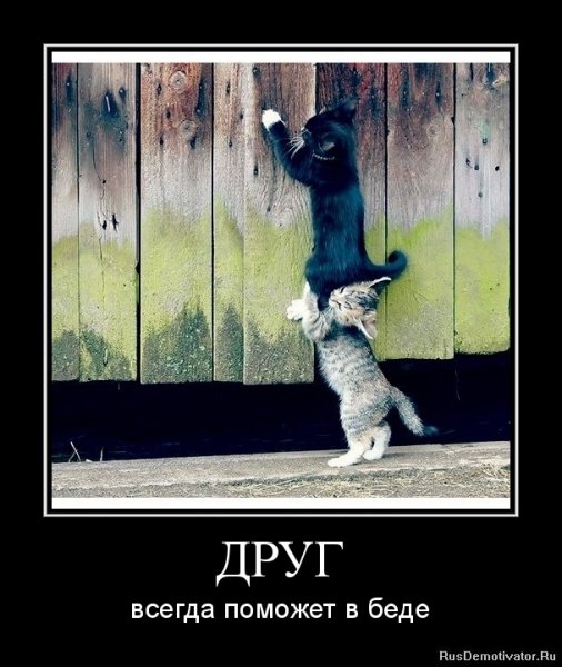 Друзья всегда поддержат