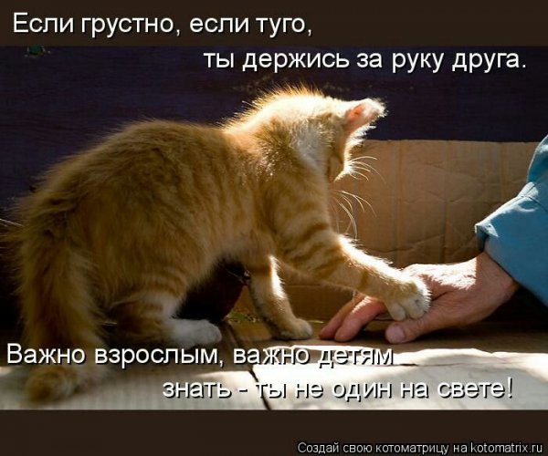 Держись друг