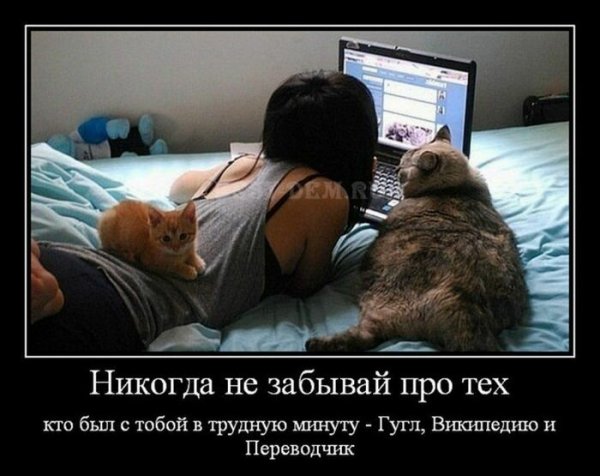 Прикольные демотиваторы с надписями