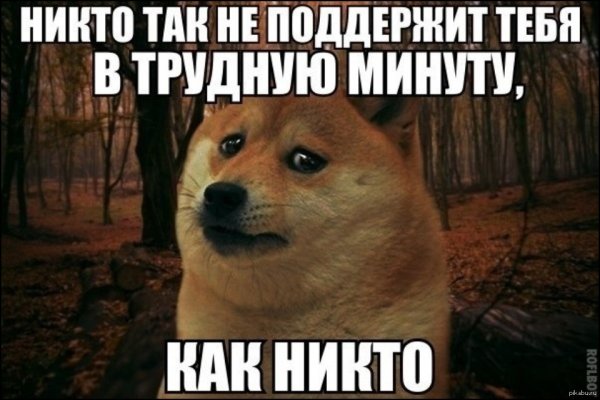 Поддержка прикол