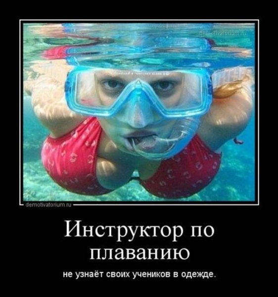 Бассейн юмор