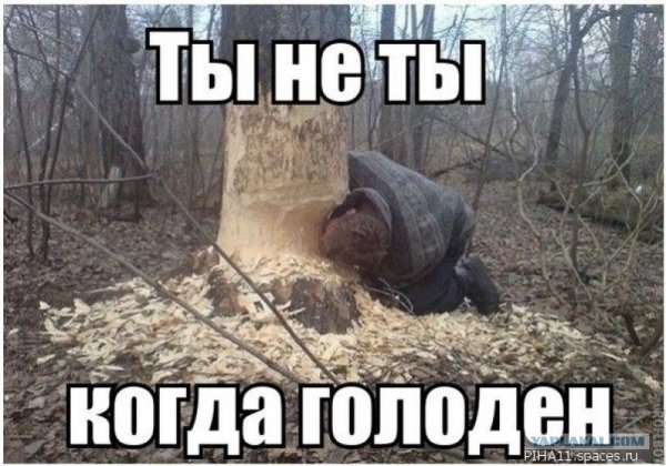 Дети юмор