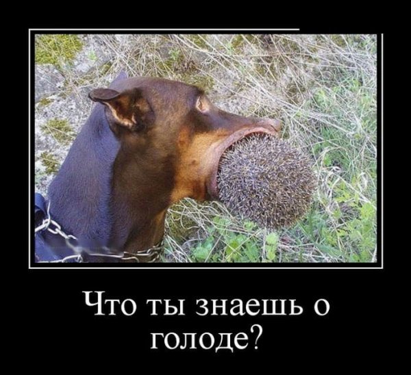 Хлеб для детей