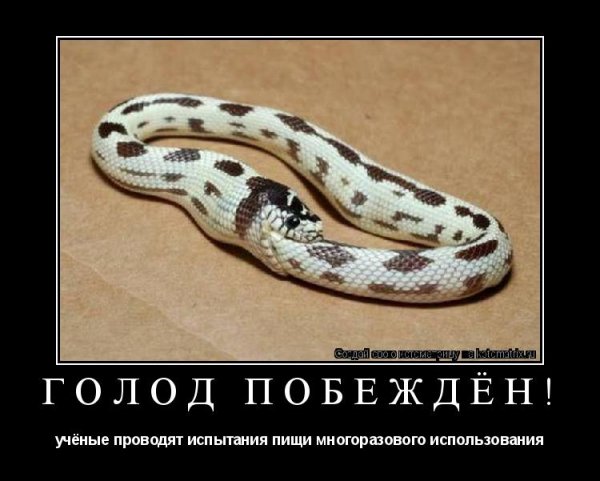 Приятного аппетита прикол
