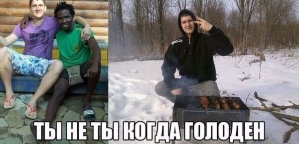 Ты не ты когда голоден фото