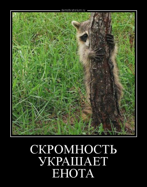Скромность демотиватор