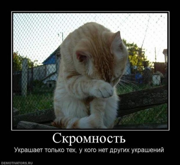 Скромность прикол