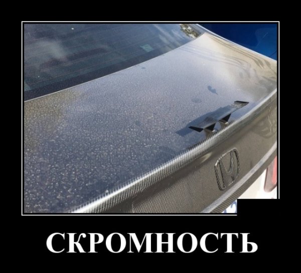 Скромность демотиватор