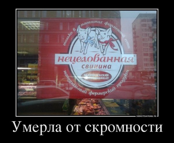 Скромность демотиватор