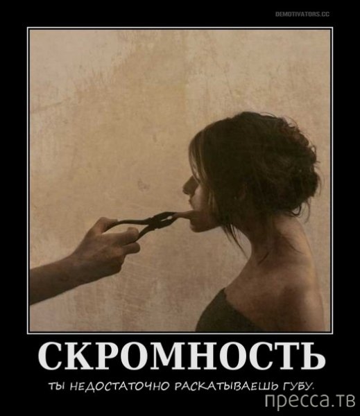 Цитаты про скромность прикольные