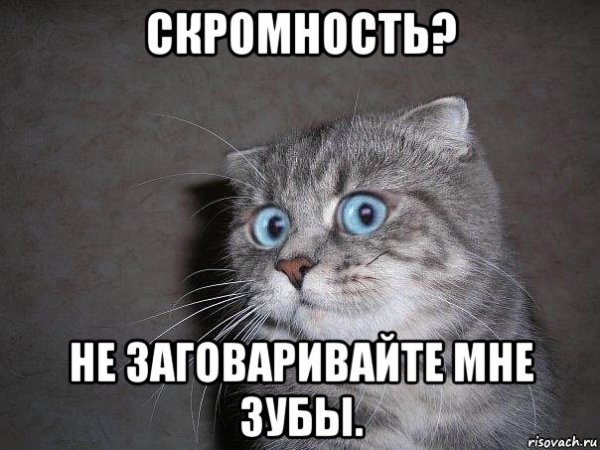 Скромный смешные картинки