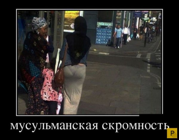 Цитаты про скромность смешные