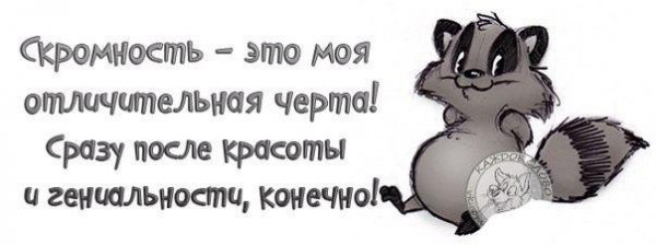 Анекдот про скромность
