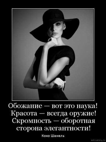 Цитаты про скромность смешные