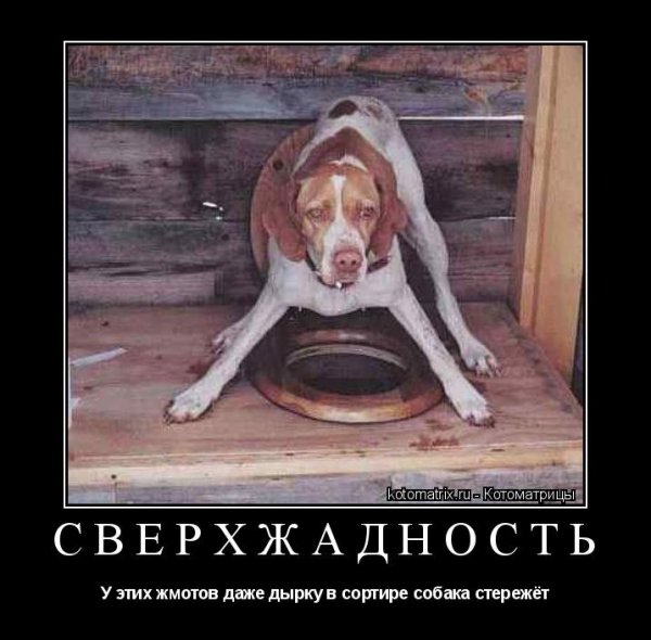 Жмот смешные картинки