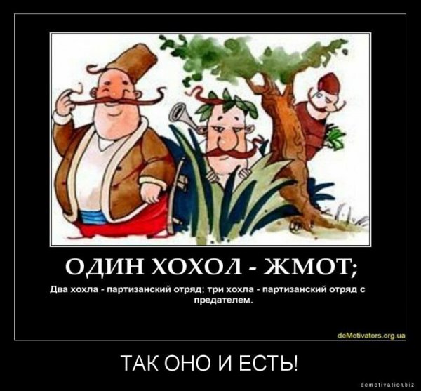 Приколы про Хохлов