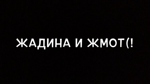 Жмот жадина