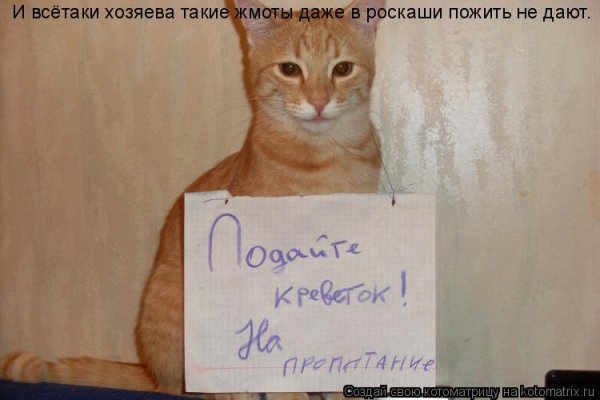 Жмот картинки