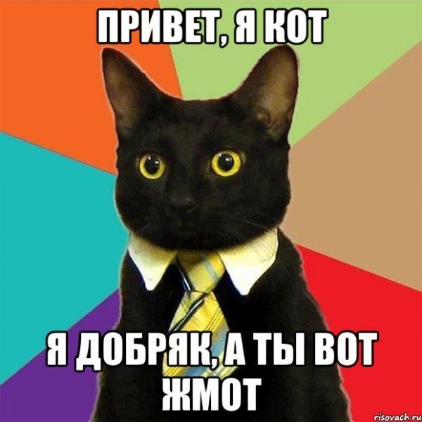 Привет Мем кот