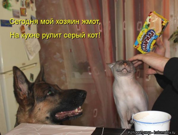 Жмот прикол