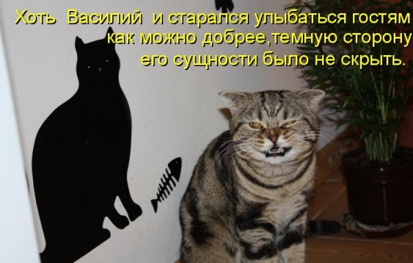 Я не жмот