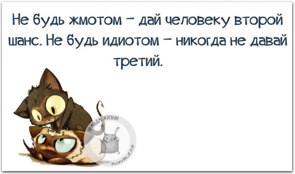 Смешное позитивное чтиво в картинках