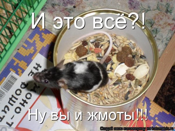 Жмот картинки