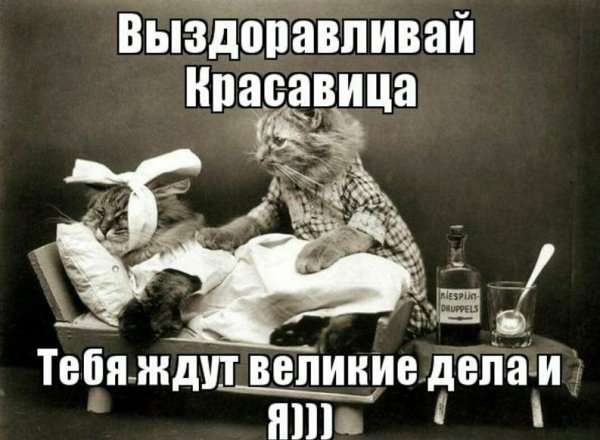 Не болей выздоравливай скорей