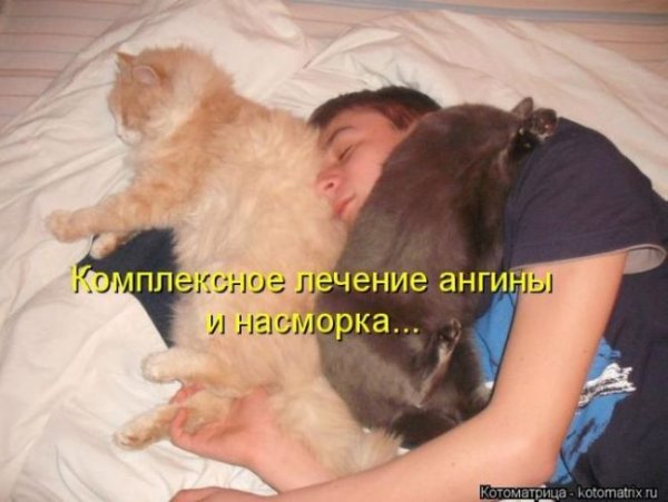 Насморк прикол