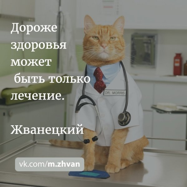 Что может быть дороже здоровья