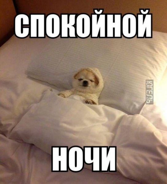 Спокойной ночи мама