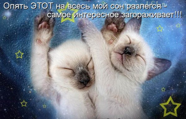Доброй ночи малыш