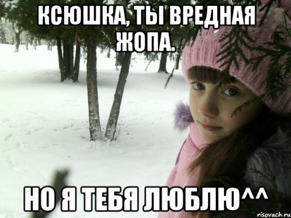Мемы по Ксюшу