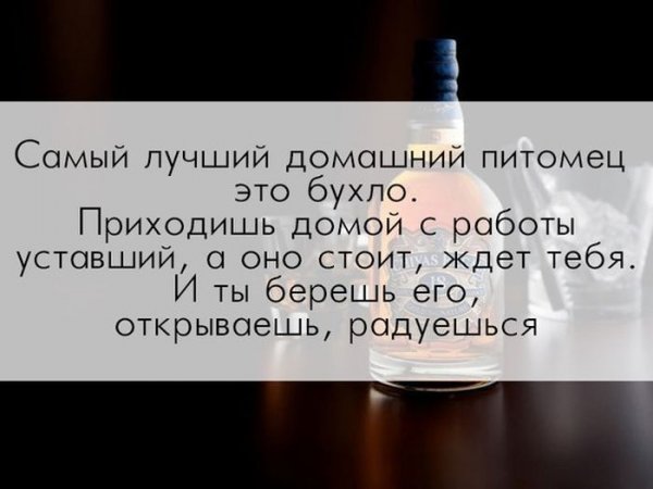Шутки про алкоголь